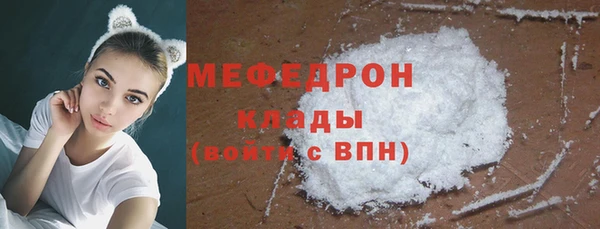 индика Бронницы