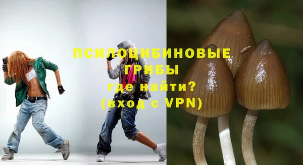прущий лед Верея