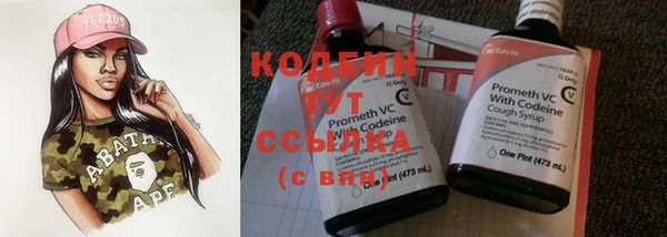 дживик Бородино