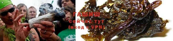 индика Бронницы