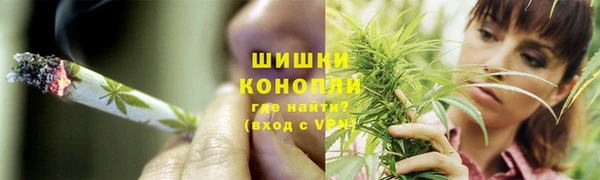 индика Бронницы