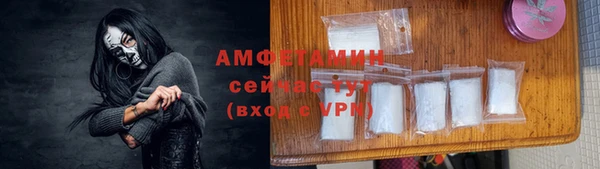 дживик Бородино