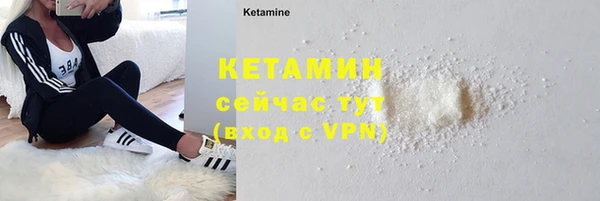индика Бронницы