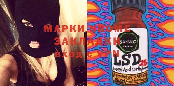 дживик Бородино