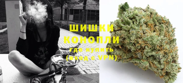 дживик Бородино